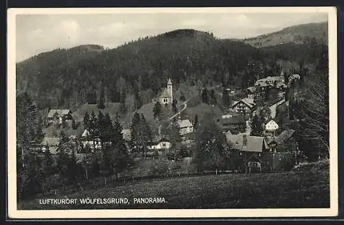 AK Wölfelsgrund, Ortsansicht mit Umgebung