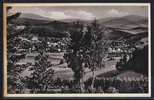 AK Bad Landeck i. Schl., Ortsansicht mit Schneeberg
