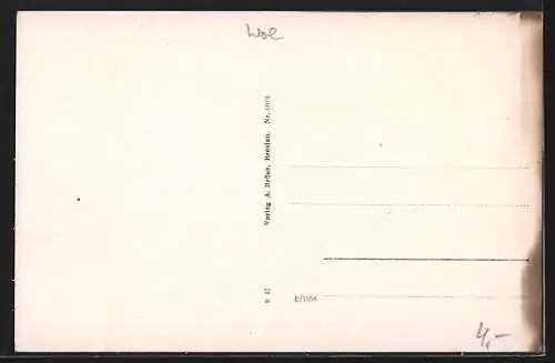 AK Bad Landeck i. Schl., Ortsansicht mit Schneeberg