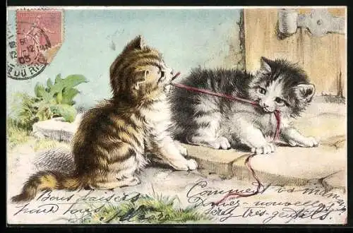AK zwei getigerte Kitten spielen mit einem Faden