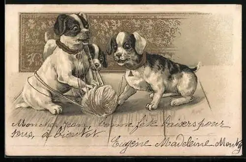Lithographie Drei Welpen spielen mit Wollknäuel