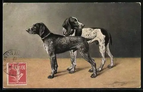 Künstler-AK Zwei stehende Sporting Dogs