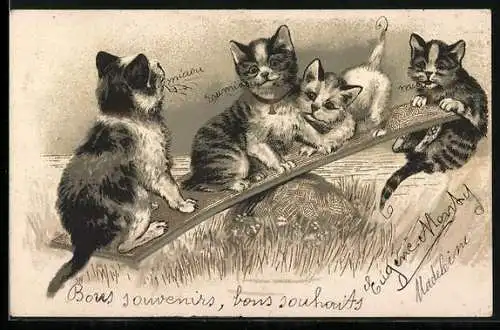 AK Junge Katzen auf einer Wippe