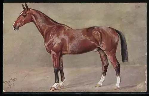 Künstler-AK Edle Rasse, Reitpferd mit braunem Fell