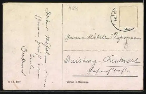 AK zwei schwarze Pferde mit Halfter