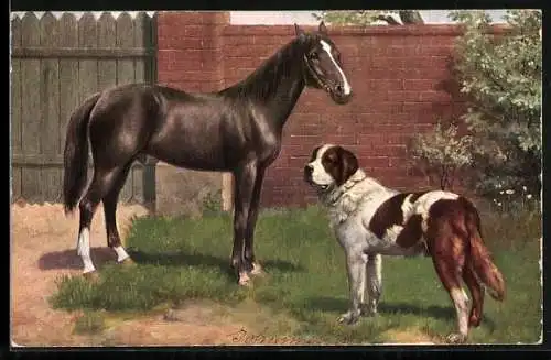 AK Braunes Pferd mit Hofhund vor dem Tor, Tierportrait
