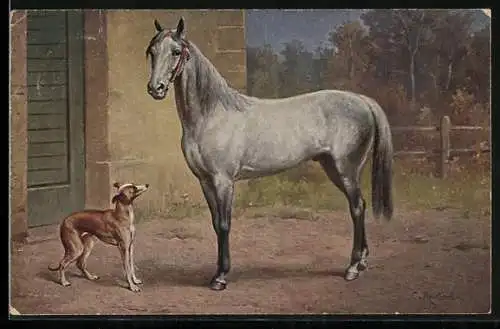 Künstler-AK Carl Reichert: Araber und Barzoi, Windhund und Vollblut, Pferd