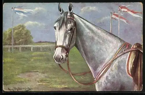 Künstler-AK August Müller - München: Rennpferd mit Sattel