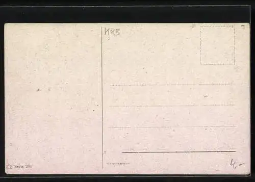 AK zwei schwarze Pferde mit Halfter