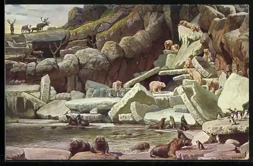 Künstler-AK Hamburg-Stellingen, Carl Hagenbecks Tierpark, Nordland-Panorama