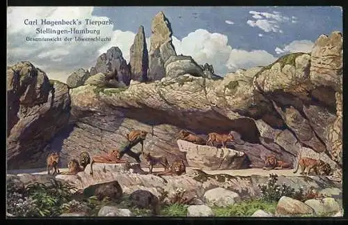 Künstler-AK Hamburg-Stellingen, Carl Hagenbeck's Tierpark, Löwenschlucht