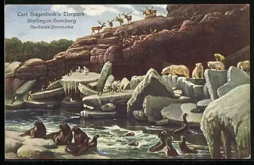 AK Hamburg-Stellingen, Hagenbecks Tierpark, Nordland-Panorama mit Pinguinen, Seelöwen und Eisbären