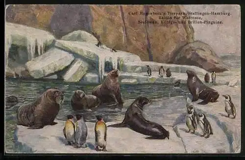Künstler-AK Stellingen-Hamburg, Carl-Hagenbeck`s Tierpark, Bassin für Walrosse, Seelöwen, Königs- und Brillen-Pinguine