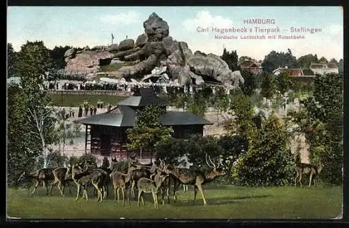 AK Stellingen, Carl Hagenbeck`s Tierpark, Nordische Landschaft mit Rutschbahn, Hirsch, Rehe