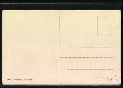 AK Stellingen, Carl Hagenbeck`s Tierpark, Nordische Landschaft mit Rutschbahn, Hirsch, Rehe