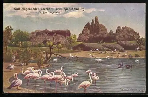 Künstler-AK Hamburg-Altona-Stellingen, Hagenbeck`s Tierpark, Grosser Vogelteich, Flamingos