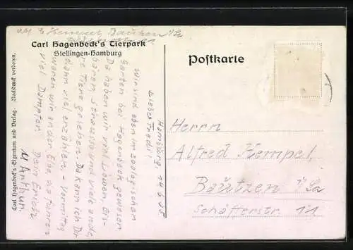 Künstler-AK Hamburg-Altona-Stellingen, Hagenbeck`s Tierpark, Grosser Vogelteich, Flamingos