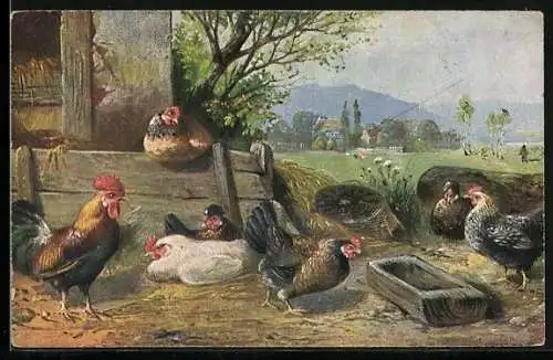 AK Hühner auf einem Bauernhof