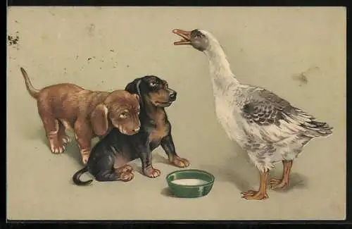 Künstler-AK Zwei junge Dackel lassen sich von einer Gans einschüchtern