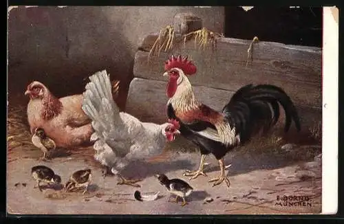 AK Hahn mit Hennen und Küken in einem Stall