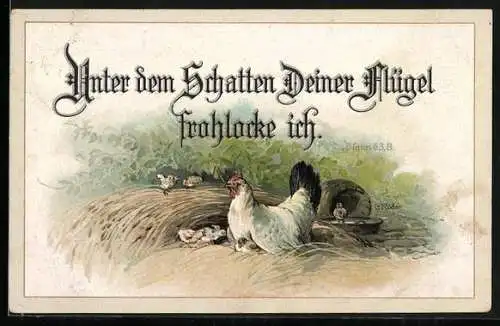 AK Psalm 63,8: Unter dem Schatten deiner Flügel frohlocke ich!, Henne und Küken im Stroh