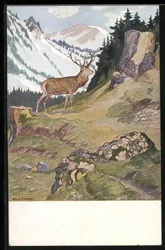 Künstler-AK Eugen Ludwig Hoess: Hirsch im Gebirge, Hochwaldleben im Herbst