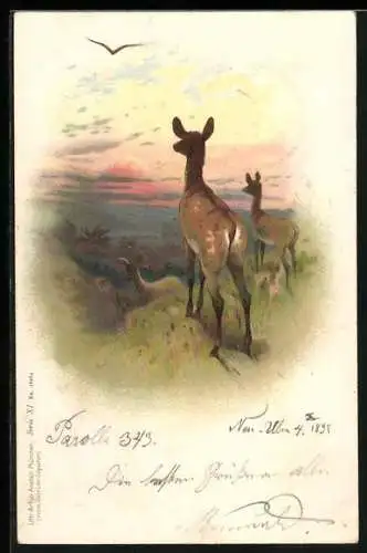 Lithographie Rehe am Morgengrauen