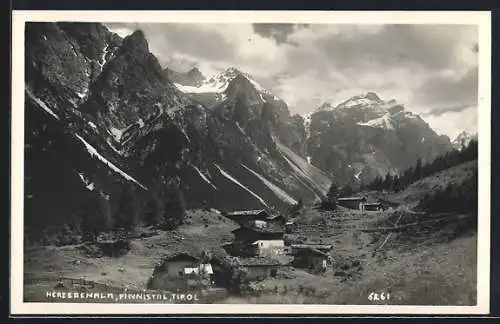 AK Neustift /Stubai, Herzebenalm mit Bergpanorama