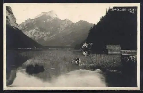 AK Eisenerz, Leopoldsteinersee, Seepartie mit Bootshaus, Gebäude u. Gipfelpanorama