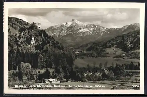 AK St. Gallen /Gesäuse, Ortspartie mit Tamischbachturm