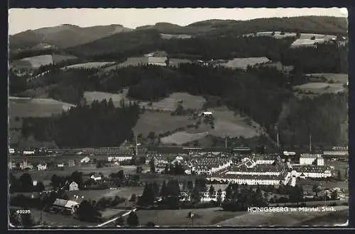 AK Langenwang /Stmk., Hönigsberg im Mürztal, Teilansicht