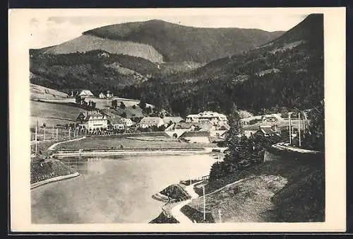 AK Wienerbruck /N.-Oe., Teilansicht mit Strassenpartie von Westen