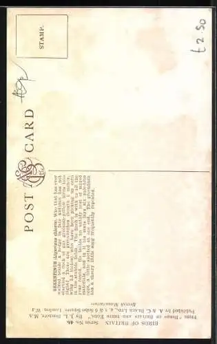 AK Greenfinch, Grünfinken-Paar