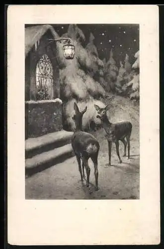 AK Zwei Rehe im Schnee vor einem beleuchteten Haus