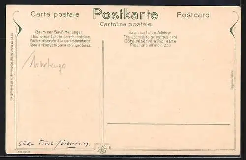 AK Marling, Panorama mit Meran gg. d. Ifinger