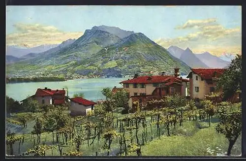 AK Lugano, Pazzallo e Monte Bre, Lago