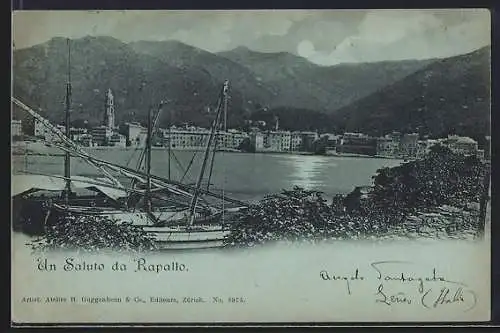 Mondschein-AK Rapallo, Panorama mit Booten