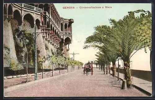 AK Genova, Circonvallazione a Mare