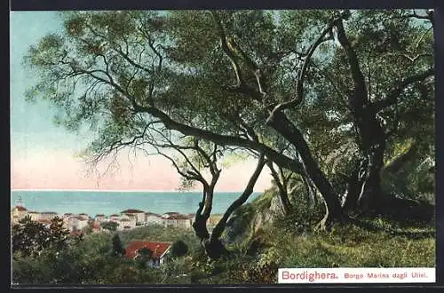 AK Bordighera, Borgo Marina dagli Ulivi