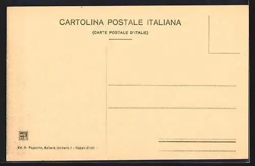 AK Vico Equense, Panorama