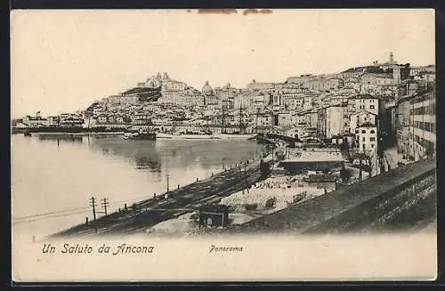 AK Ancona, Panorama