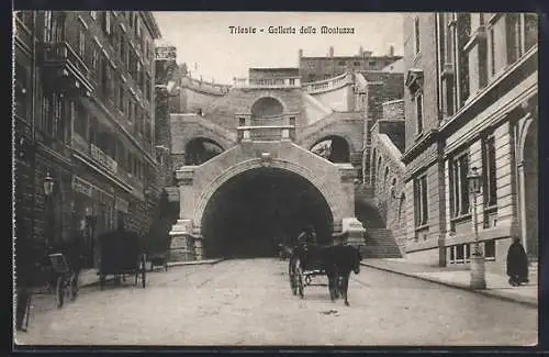AK Trieste, Galleria della Montuzza