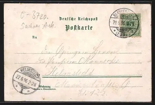 Lithographie Blankenburg / Harz, Schloss, Rathaus, Ziegenkopf, Grossvater, Ortsansicht