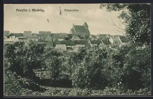 AK Penzlin i. Mecklbg., Ortsansicht bei Tag