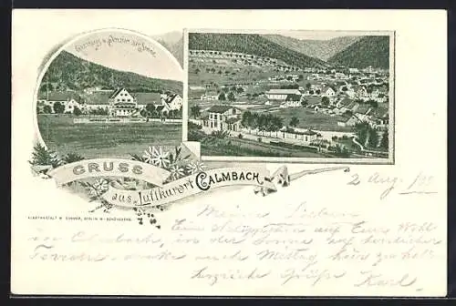 AK Calmbach, Totalansicht aus der Vogelschau, Gasthaus & Pension zur Sonne