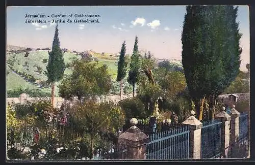 AK Jerusalem, Jardin de Gethsémani