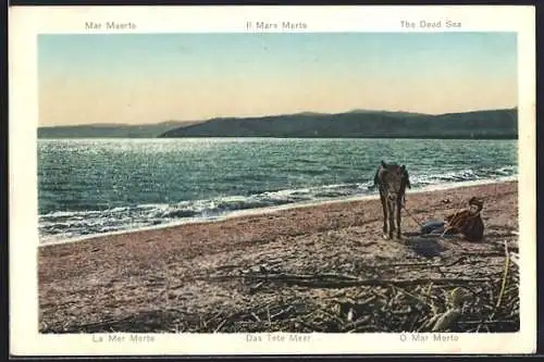 AK Palästina, La Mer Morte, Totes Meer