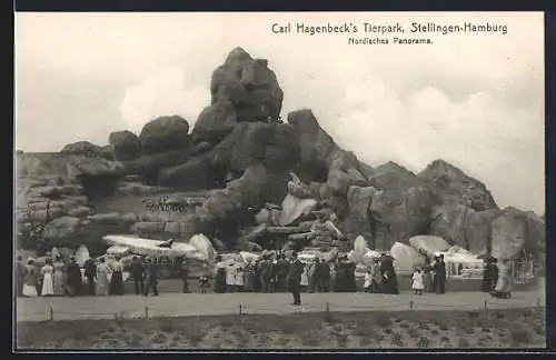 AK Stellingen-Hamburg, Carl Hagenbeck`s Tierpark, Nordisches Panorama, Seelöwe