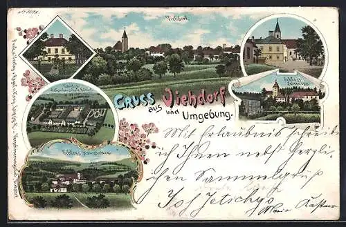 Lithographie Viehdorf, Landes-Ackerbauschule Edthof, Schloss Seisenegg und Schloss Hainstetten