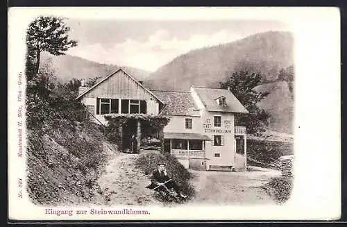 AK Weissenbach an der Triesting, Gasthof Steinwandklamm, Eingang zum Gasthof